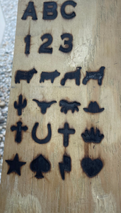 Cowhide Shape Coasters