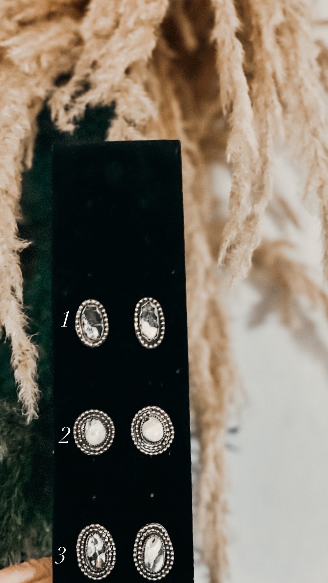 White Buffalo Studs